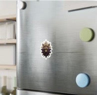 Falling Stars Sticker